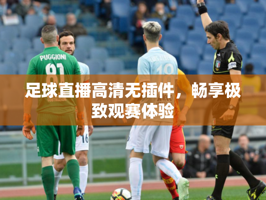 足球直播高清无插件，畅享极致观赛体验