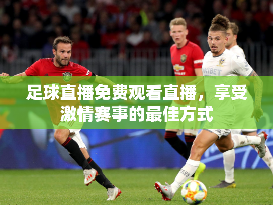 足球直播免费观看直播，享受激情赛事的最佳方式