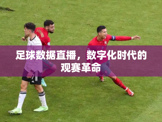 足球数据直播，数字化时代的观赛革命