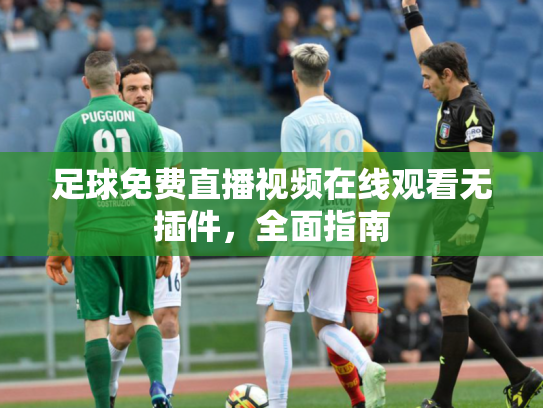 足球免费直播视频在线观看无插件，全面指南