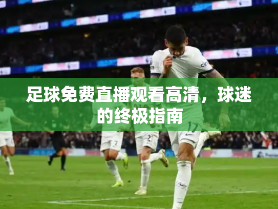足球免费直播观看高清，球迷的终极指南