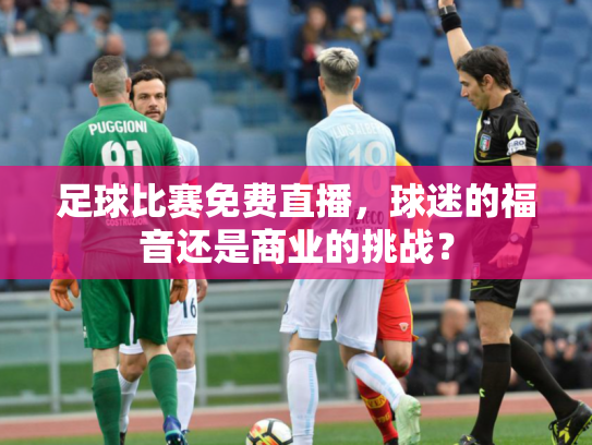 足球比赛免费直播，球迷的福音还是商业的挑战？