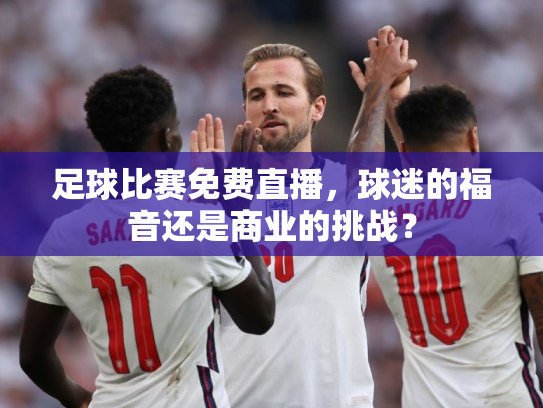 足球比赛免费直播，球迷的福音还是商业的挑战？