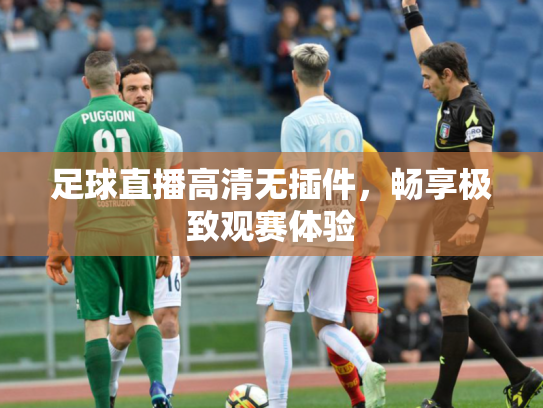 足球直播高清无插件，畅享极致观赛体验