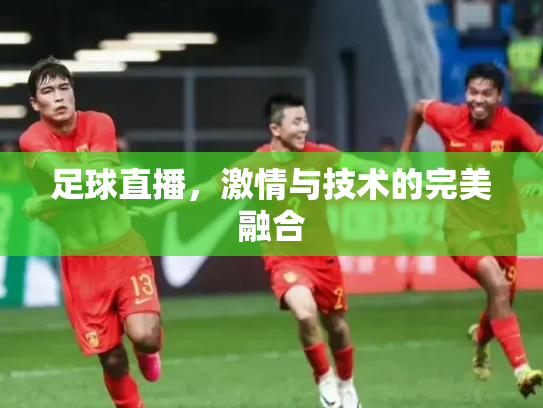 足球直播，激情与技术的完美融合