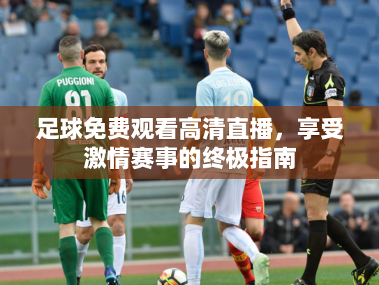 足球免费观看高清直播，享受激情赛事的终极指南