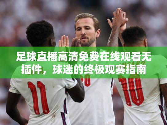 足球直播高清免费在线观看无插件，球迷的终极观赛指南