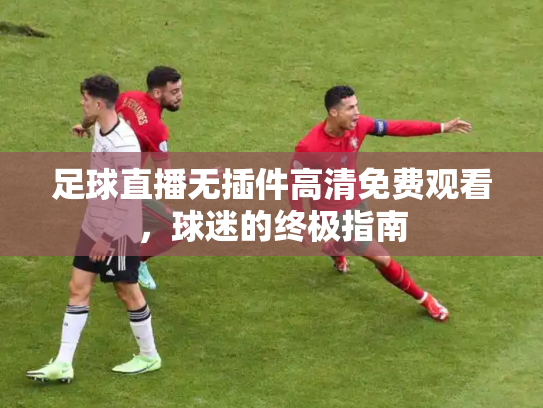 足球直播无插件高清免费观看，球迷的终极指南
