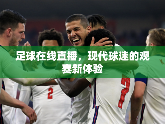 足球在线直播，现代球迷的观赛新体验