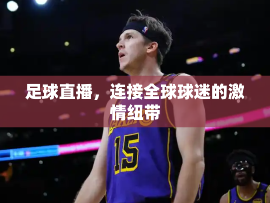 足球直播，连接全球球迷的激情纽带