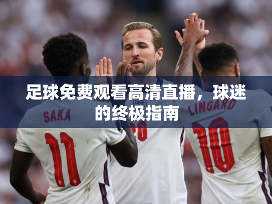 足球免费观看高清直播，球迷的终极指南
