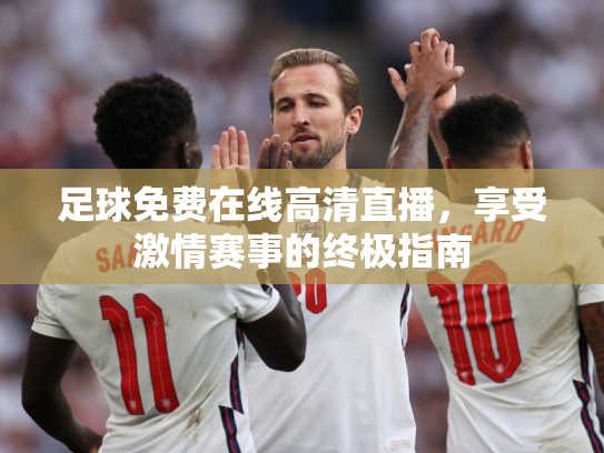 足球免费在线高清直播，享受激情赛事的终极指南