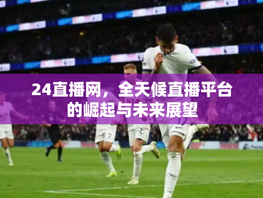 24直播网，全天候直播平台的崛起与未来展望