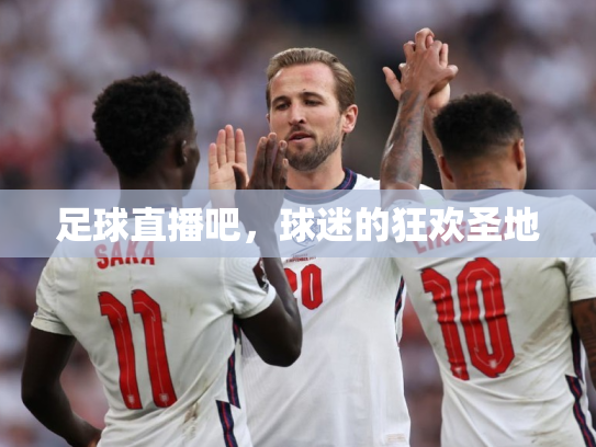 足球直播吧，球迷的狂欢圣地