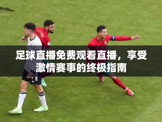 足球直播免费观看直播，享受激情赛事的终极指南
