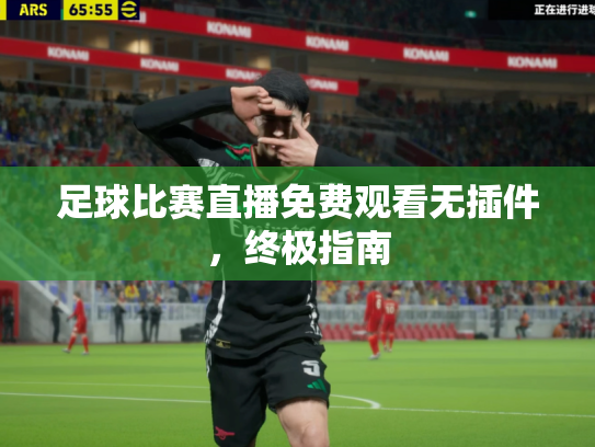 足球比赛直播免费观看无插件，终极指南