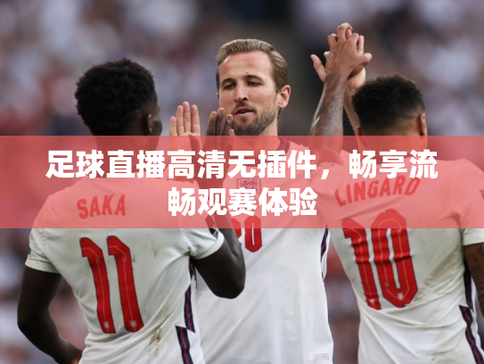 足球直播高清无插件，畅享流畅观赛体验