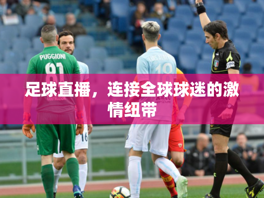 足球直播，连接全球球迷的激情纽带