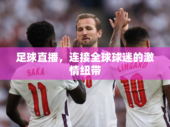 足球直播，连接全球球迷的激情纽带