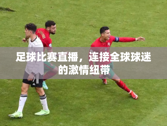 足球比赛直播，连接全球球迷的激情纽带