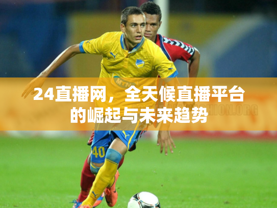 24直播网，全天候直播平台的崛起与未来趋势