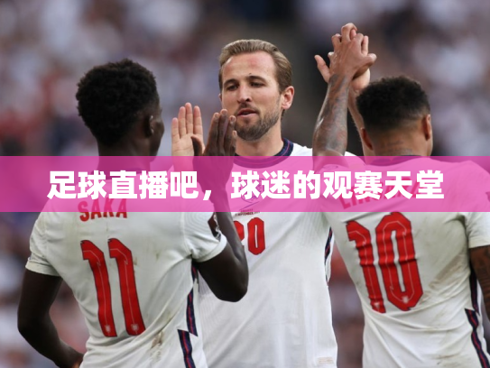 足球直播吧，球迷的观赛天堂