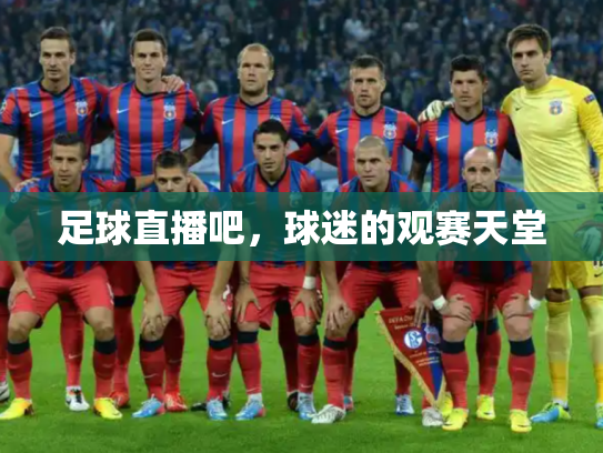 足球直播吧，球迷的观赛天堂