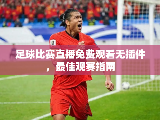 足球比赛直播免费观看无插件，最佳观赛指南