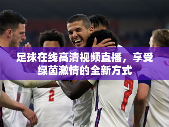 足球在线高清视频直播，享受绿茵激情的全新方式