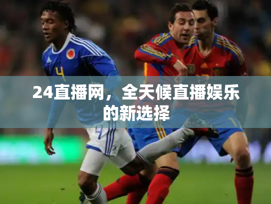 24直播网，全天候直播娱乐的新选择