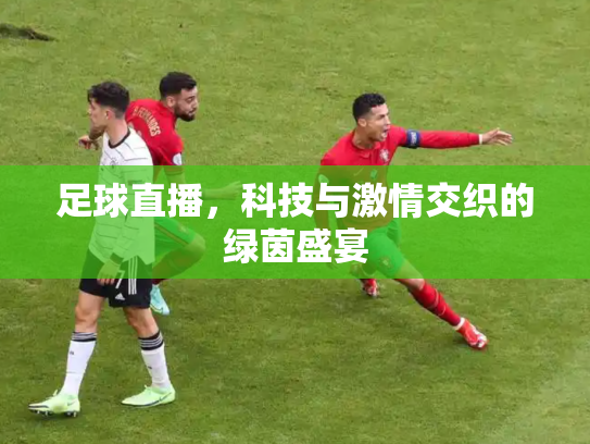 足球直播，科技与激情交织的绿茵盛宴