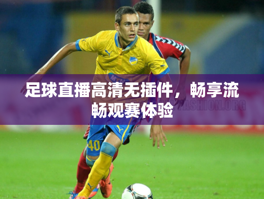 足球直播高清无插件，畅享流畅观赛体验