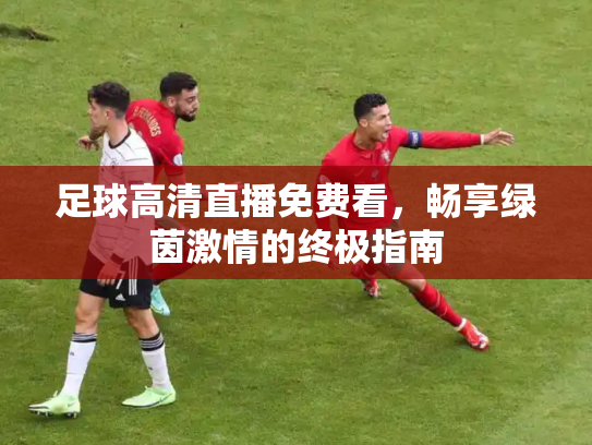 足球高清直播免费看，畅享绿茵激情的终极指南