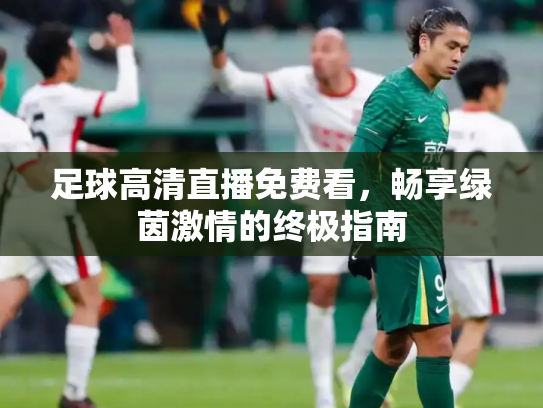 足球高清直播免费看，畅享绿茵激情的终极指南