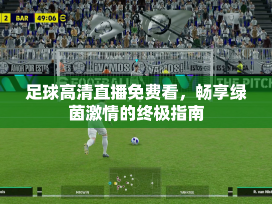 足球高清直播免费看，畅享绿茵激情的终极指南