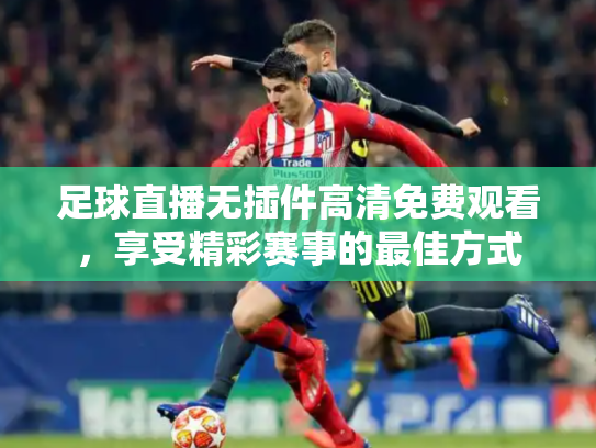 足球直播无插件高清免费观看，享受精彩赛事的最佳方式