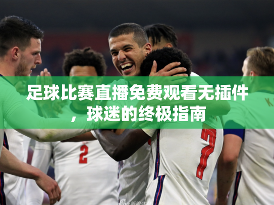 足球比赛直播免费观看无插件，球迷的终极指南