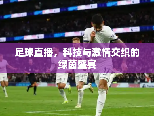 足球直播，科技与激情交织的绿茵盛宴