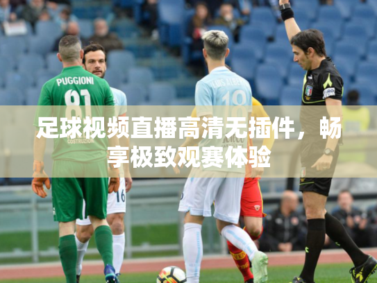 足球视频直播高清无插件，畅享极致观赛体验