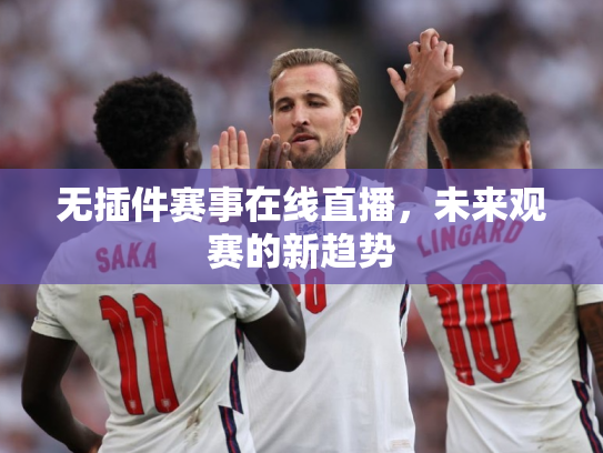 无插件赛事在线直播，未来观赛的新趋势