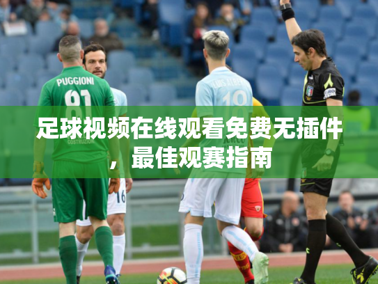 足球视频在线观看免费无插件，最佳观赛指南