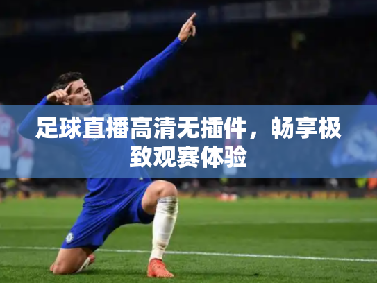 足球直播高清无插件，畅享极致观赛体验