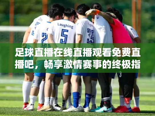 足球直播在线直播观看免费直播吧，畅享激情赛事的终极指南