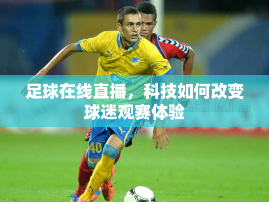 足球在线直播，科技如何改变球迷观赛体验