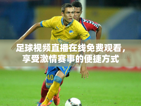 足球视频直播在线免费观看，享受激情赛事的便捷方式