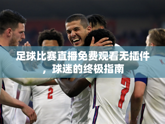 足球比赛直播免费观看无插件，球迷的终极指南