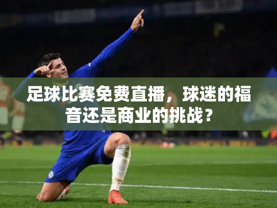 足球比赛免费直播，球迷的福音还是商业的挑战？