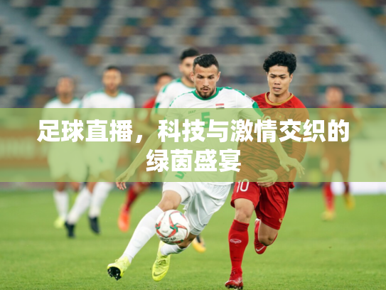 足球直播，科技与激情交织的绿茵盛宴