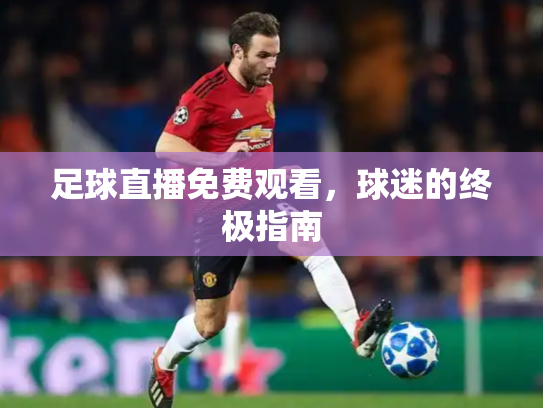 足球直播免费观看，球迷的终极指南