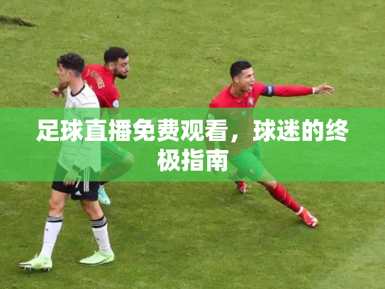 足球直播免费观看，球迷的终极指南